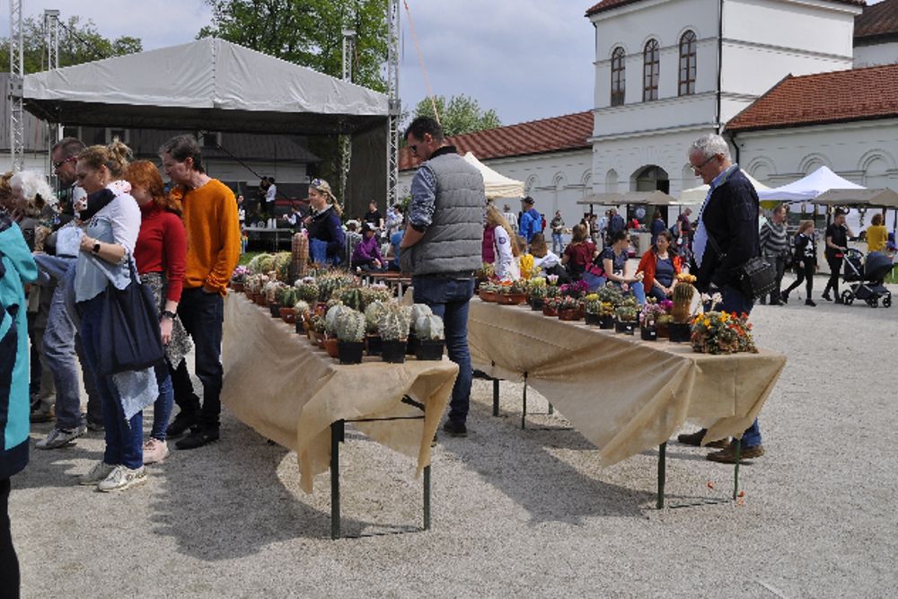 jarna krasa vystava
