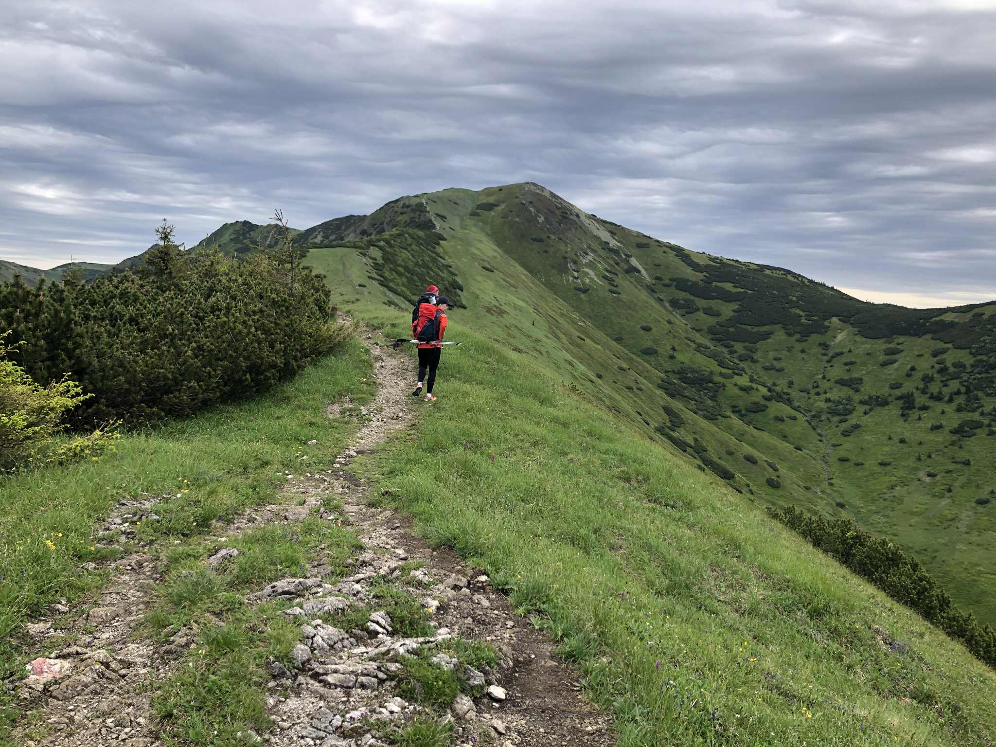 hrebenovka mala fatra